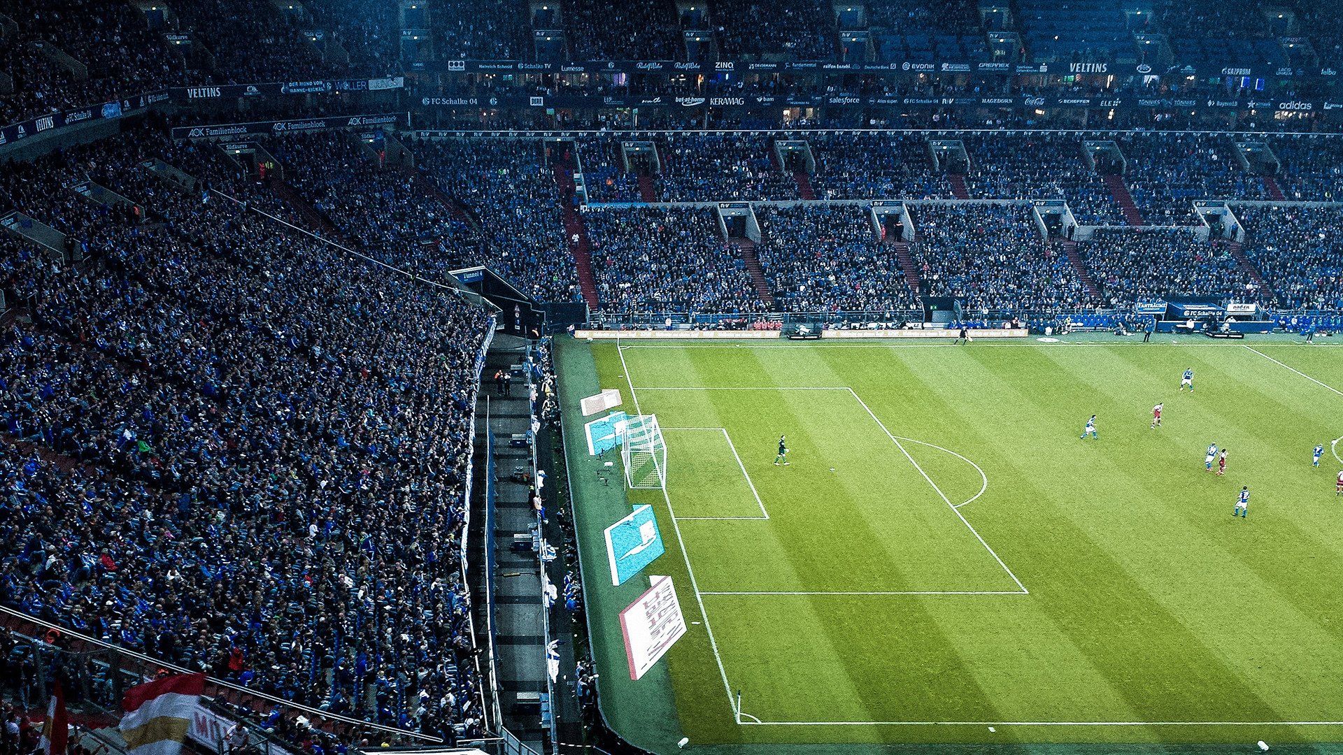 潜力无限：那些未来有望冲击超级巨星的新人亮相，未来巨星电影